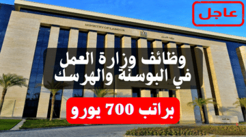 وظائف وزارة العمل في البوسنة والهرسك براتب 700 يورو (طريقة التقديم) 13