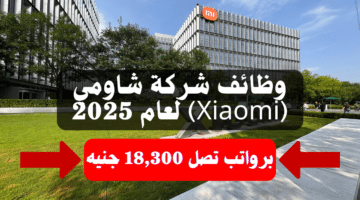 وظائف شركة شاومي (Xiaomi) لعام 2025 برواتب تصل 18,300 جنيه "قدم الآن" 12