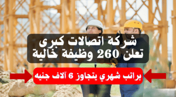 شركة اتصالات كبرى تعلن 260 وظيفة خالية براتب شهري يتجاوز 6 آلاف جنيه 11