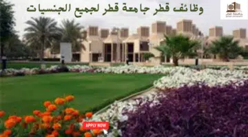 وظائف قطر جامعة قطر لجميع الجنسيات 3
