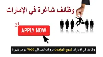 وظائف في الإمارات لجميع المؤهلات برواتب تصل الى 7000 درهم شهريا 1