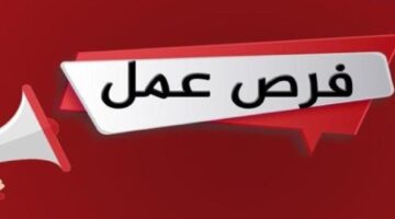 توظيف منسق إداري - منسق مبيعات في الشارقة براتب 8000 درهم 27 توظيف منسق إداري - منسق مبيعات في الشارقة براتب 8000 درهم 9