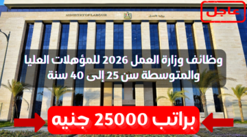 وظائف وزارة العمل 2026 براتب 25000 جنيه للمؤهلات العليا والمتوسطة سن 25 إلى 40 سنة 8